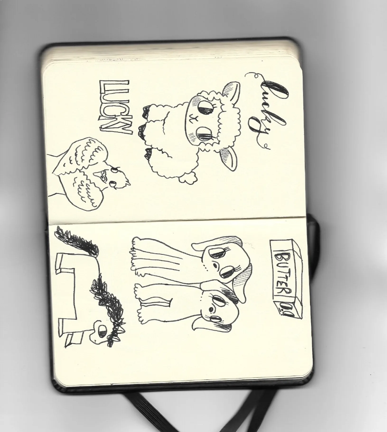 Ilustracion de galeria 20