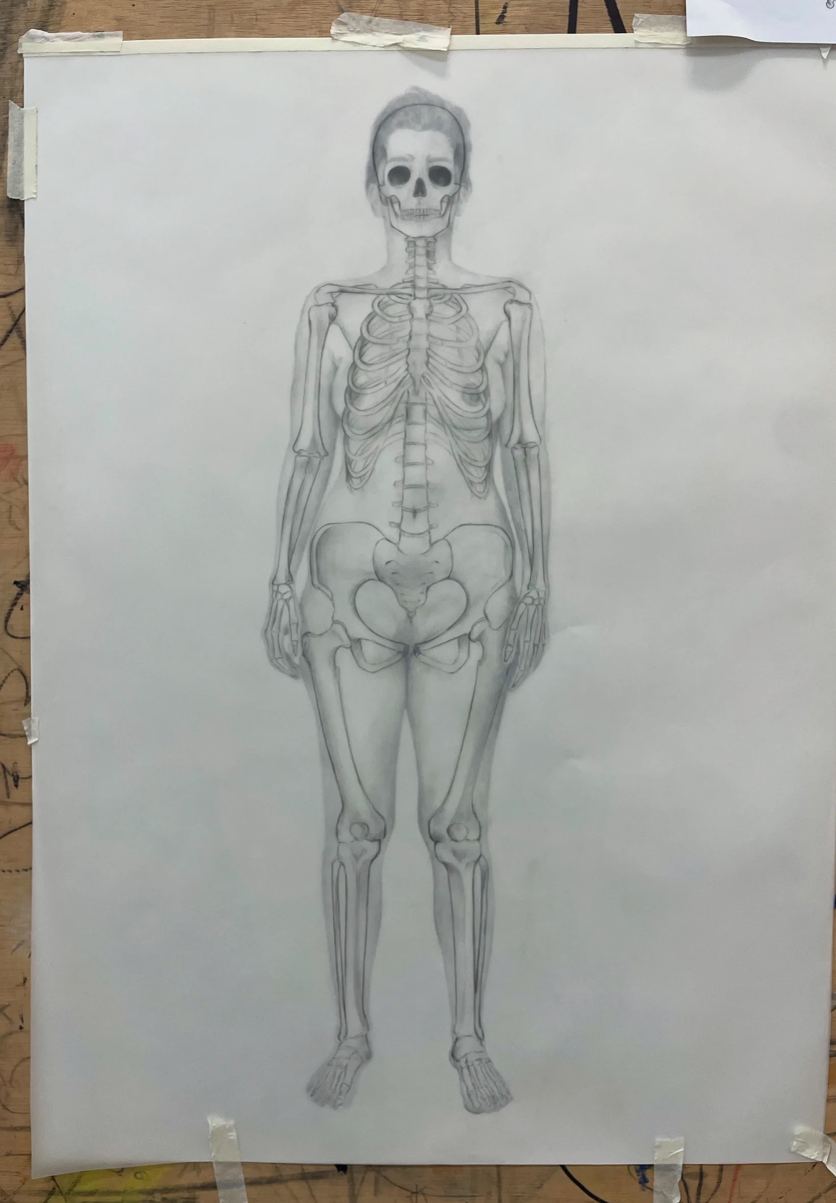 Ilustracion de galeria 27